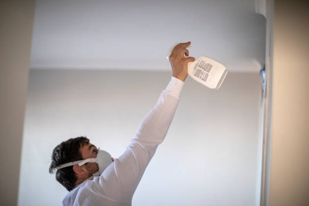 Best Mold Remediation Experts  in Kirkl, IN