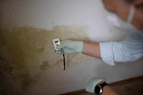 Best Mold Testing  in Kirkl, IN